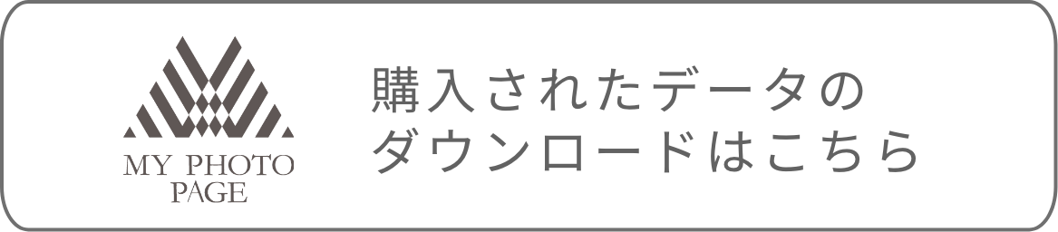 購入データのダウンロードはこちら